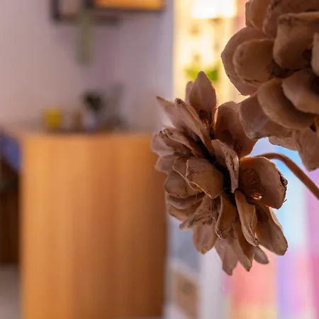 公寓 Casa Mati 阿尔盖罗